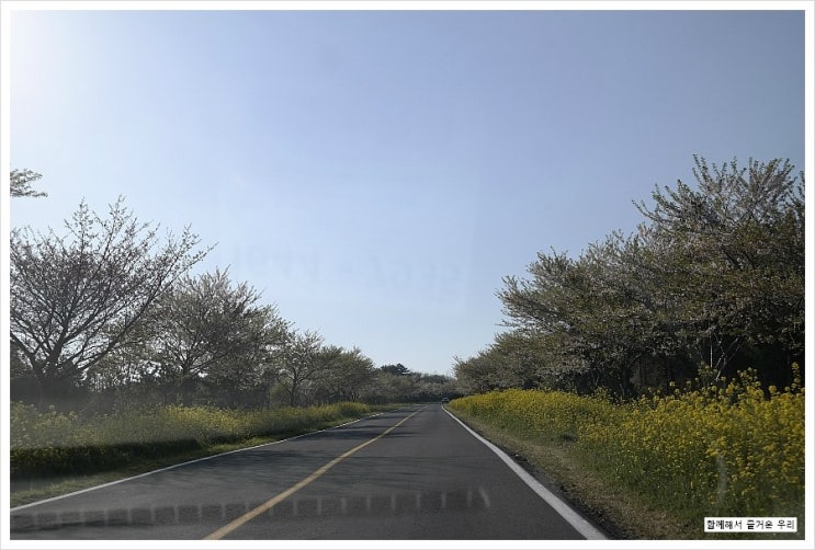  엄마와 함께한 16번째 제주 - 흑소랑, 유채꽃프라자, 수필하우스
