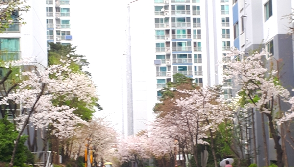  행복한 삶의  전제조건은 건강!! 운동은 삶의 활력소
