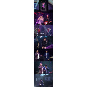  '불타는 청춘' 실검 휩쓴 화제의 '불타는 청춘 콘서트' 완결판 공개