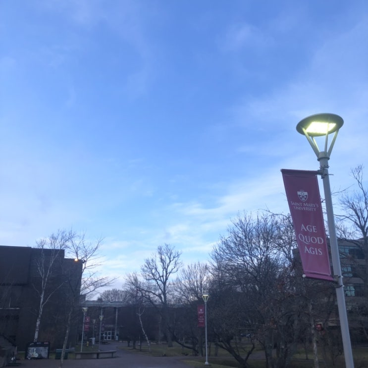  단풍남자 D+46 강제로라도 끄적이는 일상