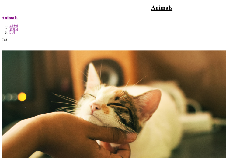  HTML 기본 문법, 이미지 태그 <img>
