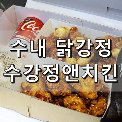 [식당] 국내산 닭으로 만든 분당 수내동 닭강정 :: 수강정앤치킨