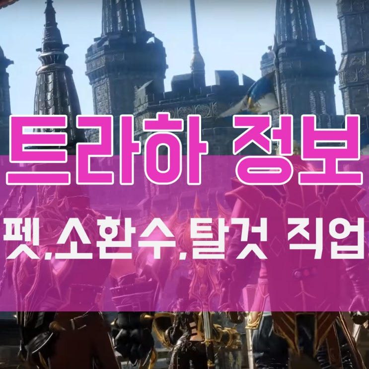  트라하 공략 직업 펫 탈것 소환수 총정리
