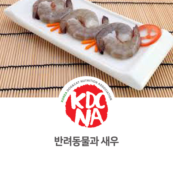  [강아지 고양이 영양 정보] 반려동물 펫푸드 재료 새우 활용 방법_83