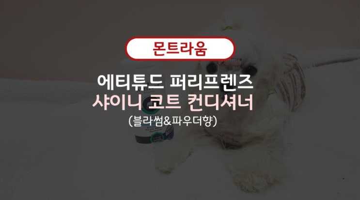  [몬트라움] 강아지컨디셔너 는 에티튜드 퍼리프렌즈 샤이니코트 컨디셔너!