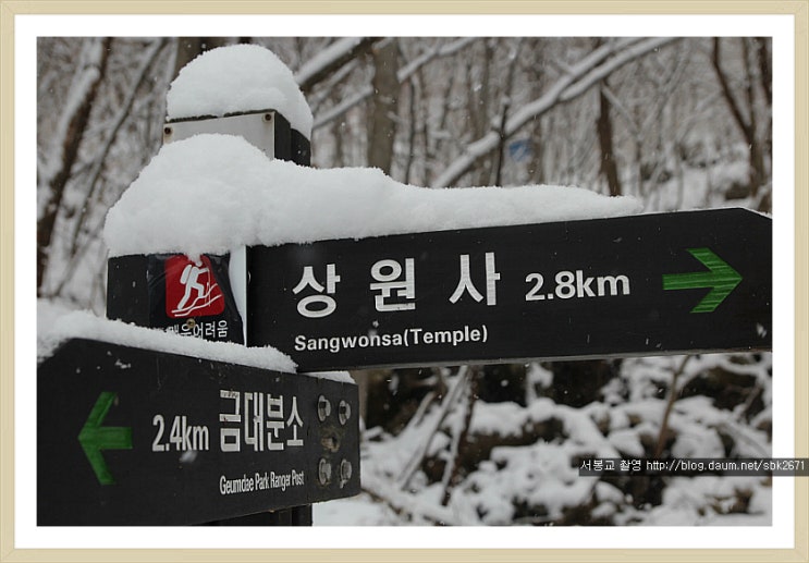  하류에서 / 전윤호