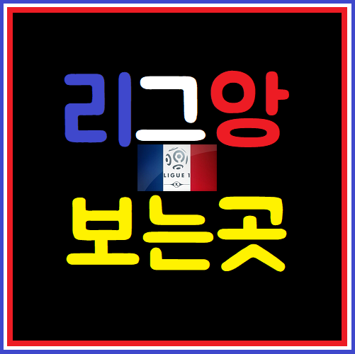  리그앙중계 여기만한곳이없네요