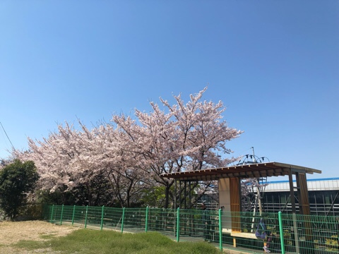  2019/ 4월일기 :)