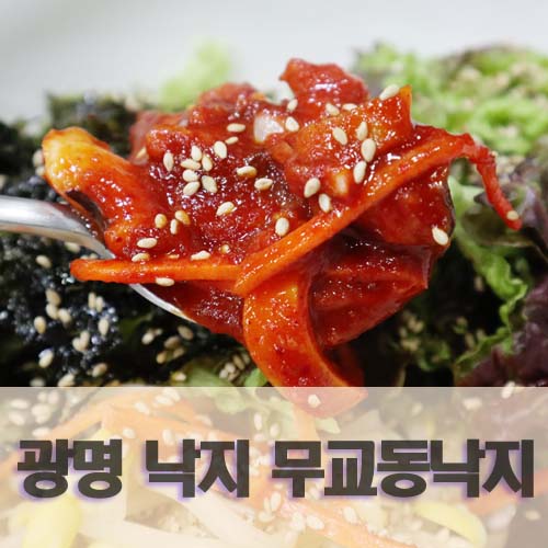  광명 낙지 맛집 무교동낙지 매콤 낙지볶음