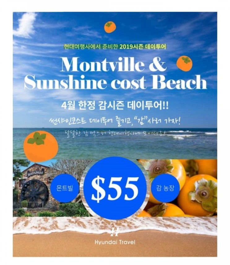  골드코스트) 출근하기/이번주활동들/브리즈번 몬트빌데이투어/