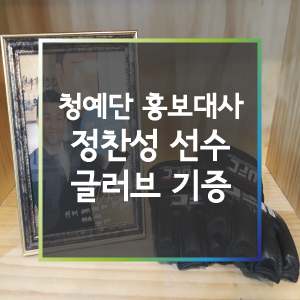 [홍보대사] 푸른나무 청예단 홍보대사 정찬성 선수  글러브 기증