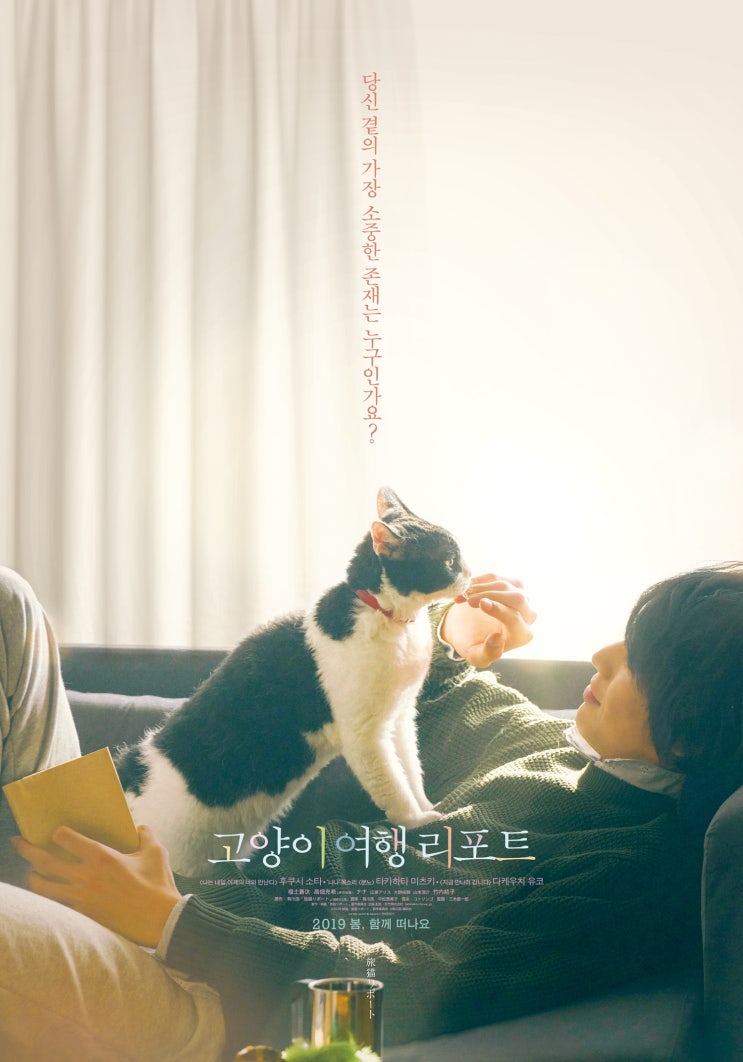 영화「고양이 여행 리포트(일본 영화, 반려묘 이야기), 2019」 소개