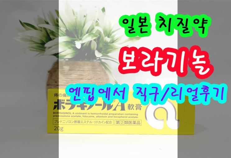  보라기놀 고통의 날들이여 안녕~