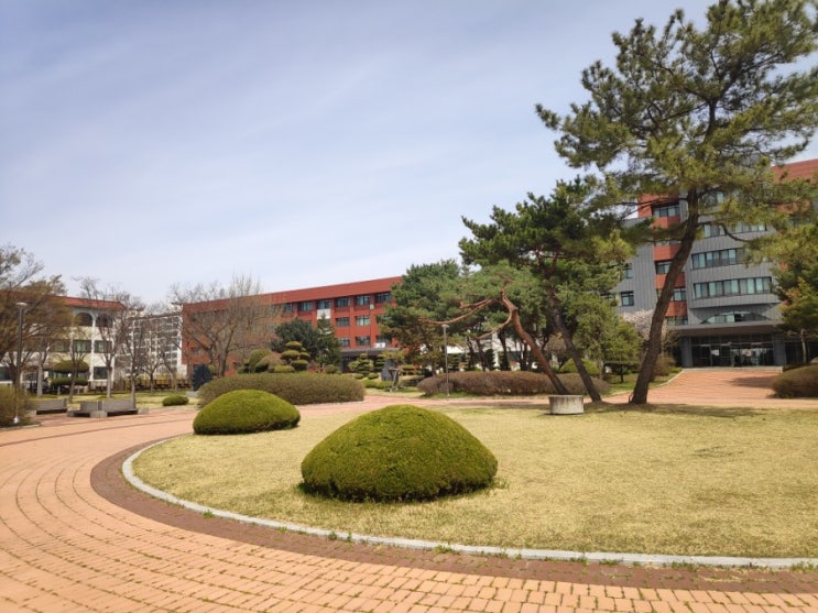 2019 04 16_2019 식품기사 1회 작업형 후기