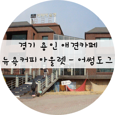  [경기/용인] 분위기 좋은 용인 애견카페 '뉴욕커피아울렛'