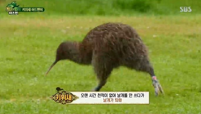  임신중 보건소이용 다양한 혜택이 많아요!