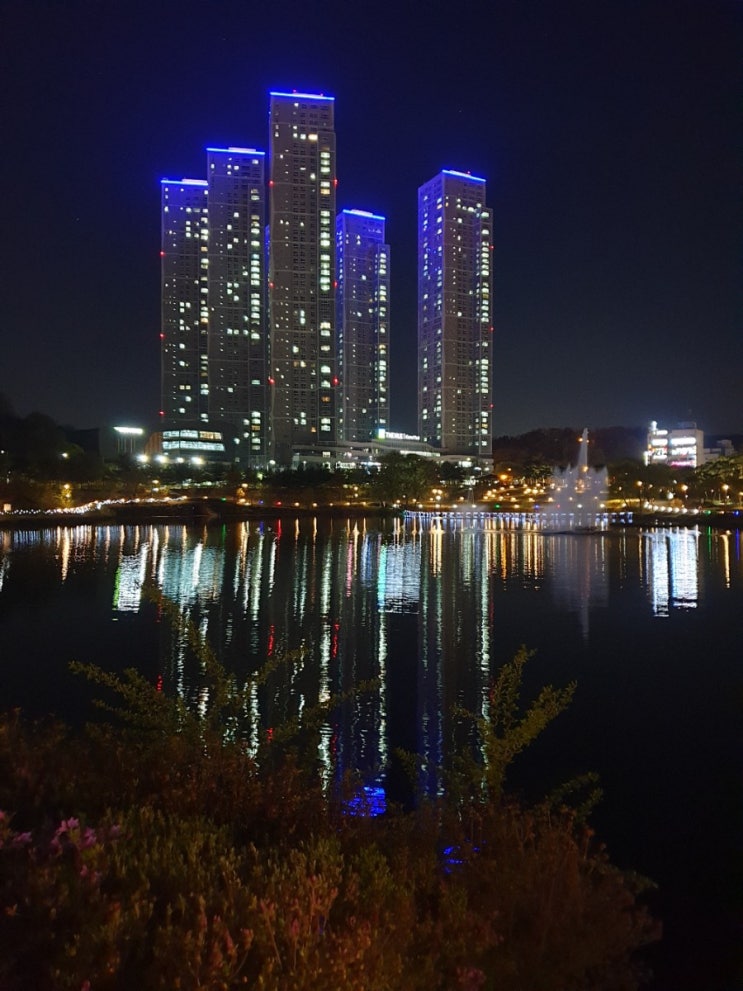 봄밤~ 산책~~