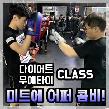  다이어트 무에타이 클래스, 파트너와 함께 미트에 어퍼 콤비 연습!! ※4/17(수) PM07:20 [도봉구 창동 탑짐]