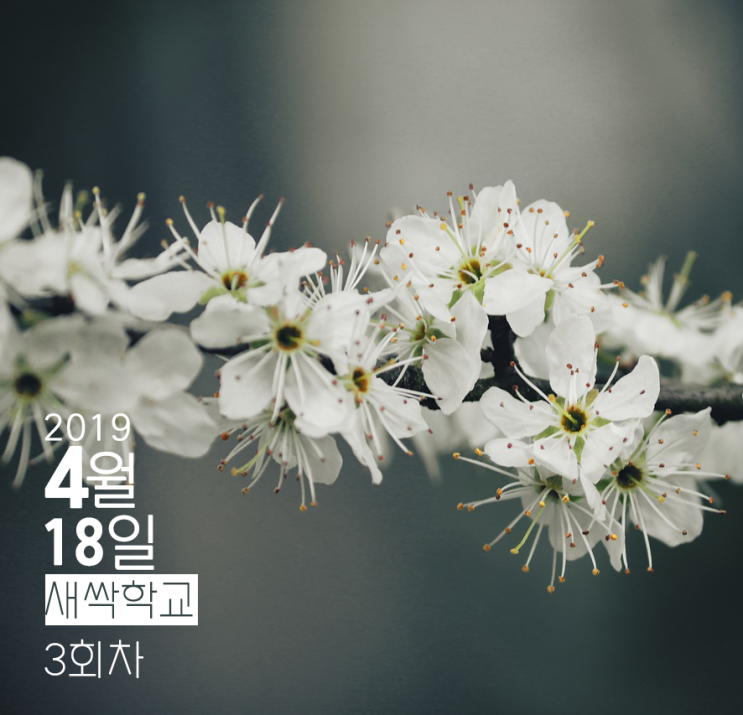  도시재생 새싹학교 후기 #3회차