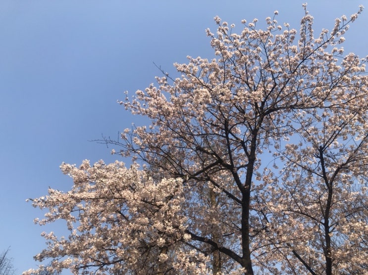  간직해둔 일상기록 :D