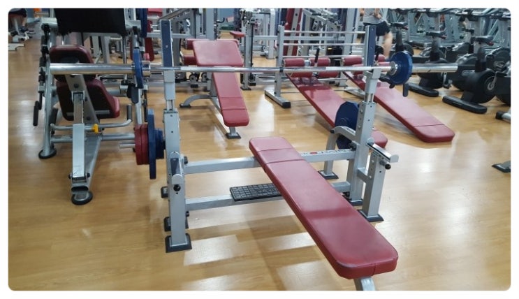  막말 파문...