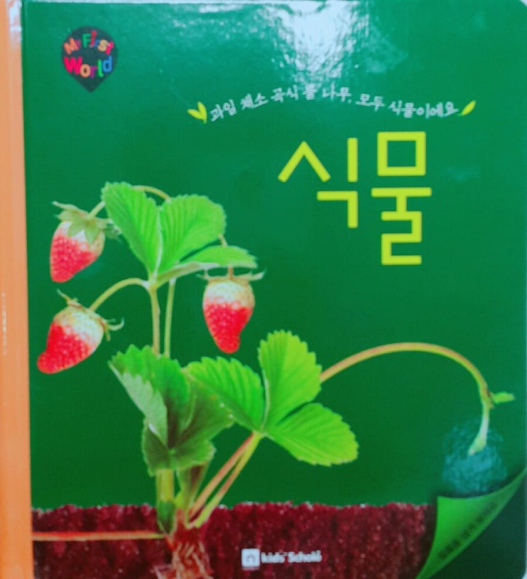 키즈스콜레 독전/독후활동 #9 마이퍼스트월드 식물