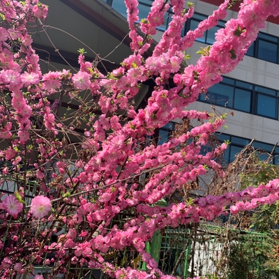  일상 , 46