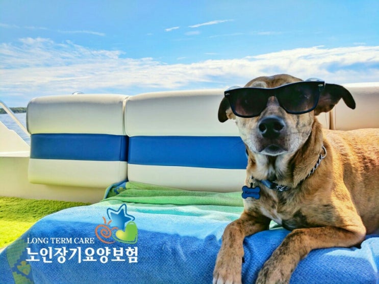  24시간 입주요양 서비스안내 [분당방문요양]