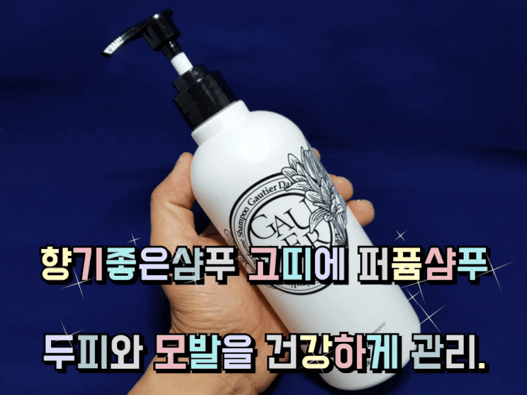 향기좋은샴푸 고띠에 퍼퓸샴푸 두피와 모발을 건강하게 관리하자. 향기좋은샴푸 고띠에 퍼퓸샴푸 두피와 모발을 건강하게 관리하자.