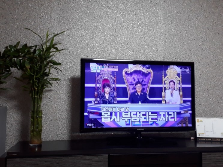  고등래퍼3에 이어 이번에는 미스트롯입니다