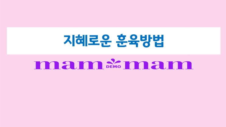  지혜로운 훈육방법