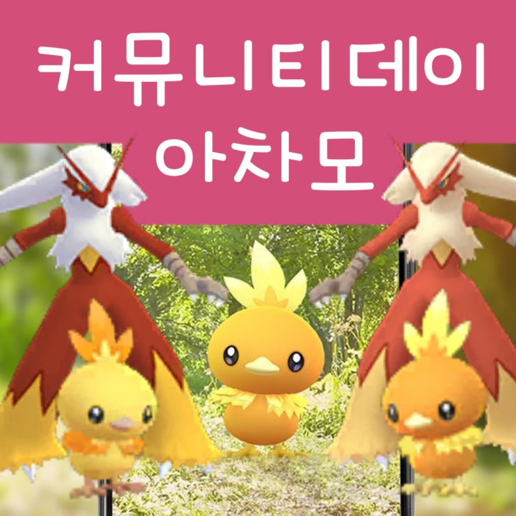  포켓몬고 커뮤니티데이 5월 - 이로치 아차모 번치코 진화 공략