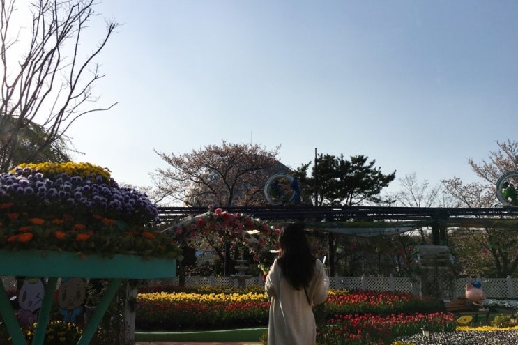  가족나들이는 서울랜드에서 만끽해요