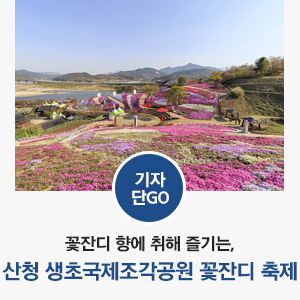 [생초 꽃잔디 / 4월 경남 축제 / 경남 봄나들이] 꽃잔디 향에 취해 즐기는 산청 생초국제조각공원 꽃잔디 축제