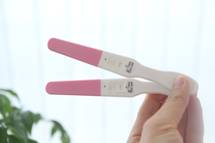  임신초기증상(3주~4주) 배콕콕