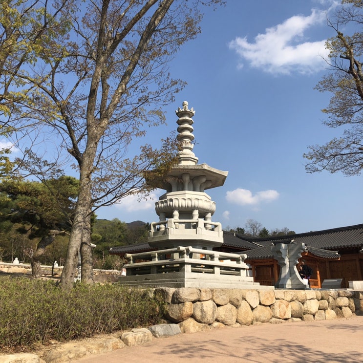  [경상북도 경주 여행] 2일차 불국사, 경주월드