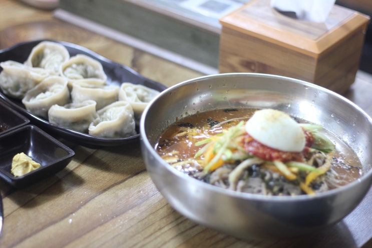  강원 속초 막국수/ 솔밭가든막국수, 밴쯔가 왔다간 속초 조양동 맛집