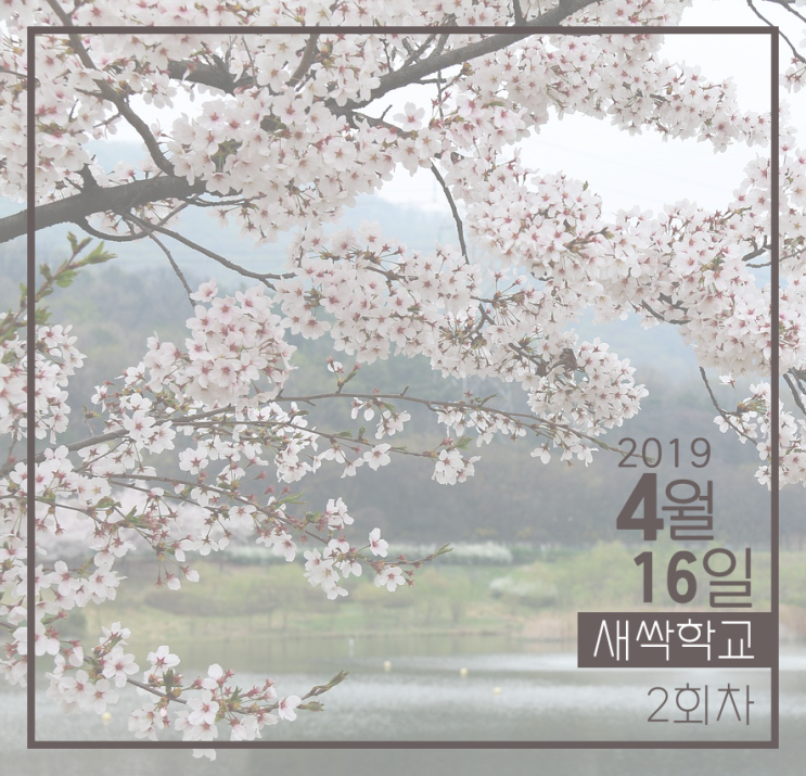  도시재생 새싹학교 후기 #2회차
