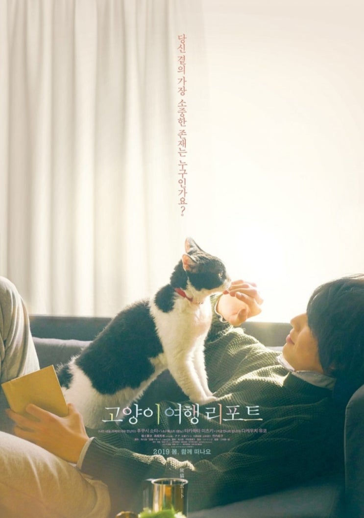  우연이란 이름으로 찾아온 필연 - 영화 《고양이 여행 리포트》 후기