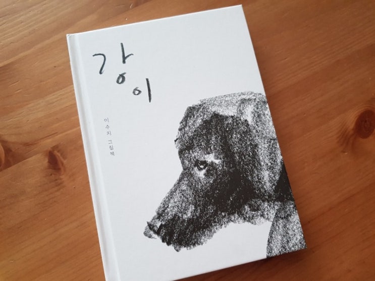  이수지 작가 감수성 넘치는 장면에 가슴턱이 먹먹했던 비룡소 「 강 이 」