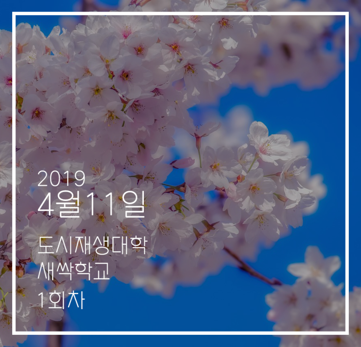  도시재생 새싹학교 후기 #1회차