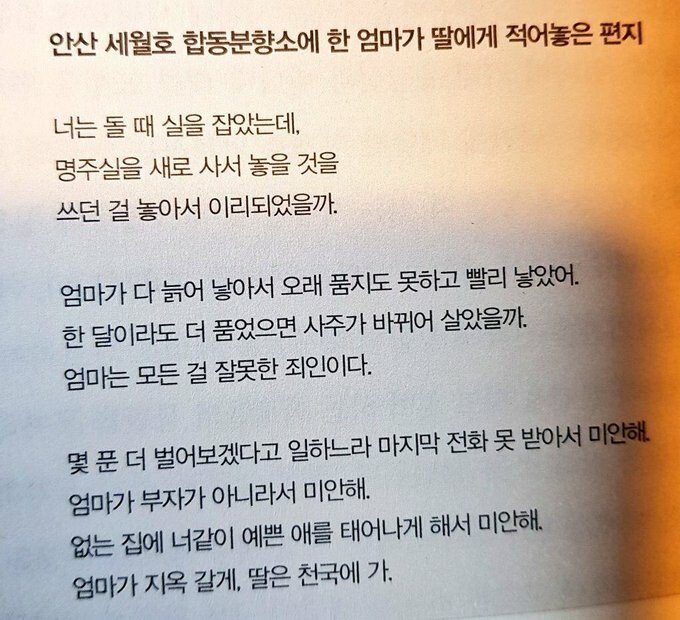  세월호