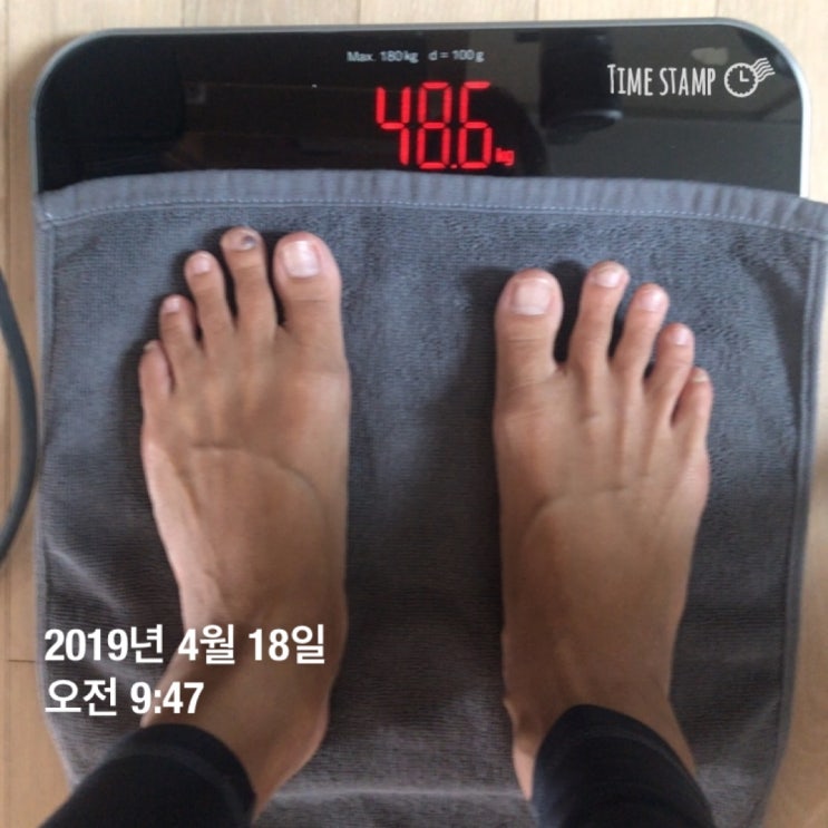  [DIET] 다이어트 100일 도전 - 62일