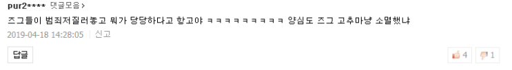  악플4