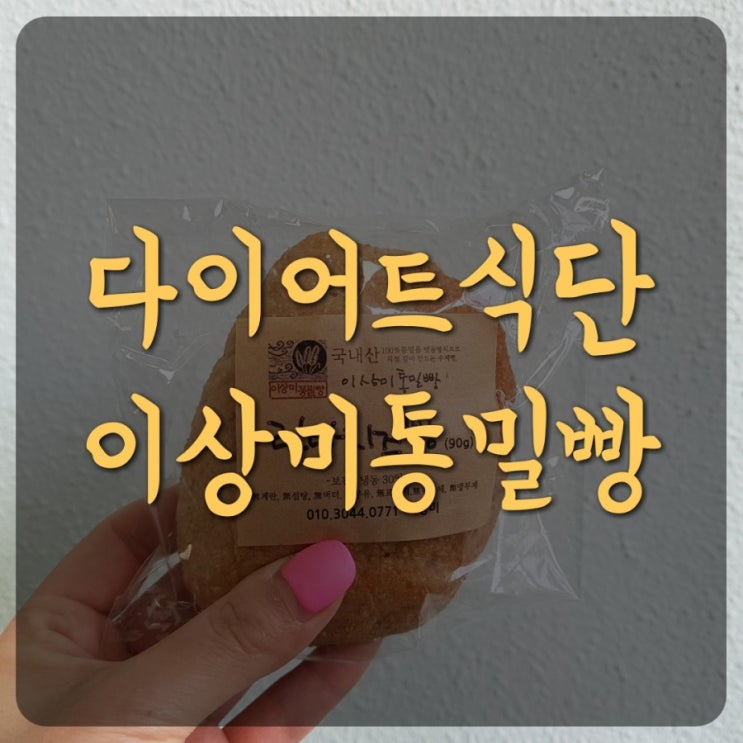  다이어트 식단 이상미 통밀빵 (맛없는데?맛있는맛!)