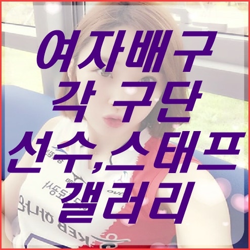 여자배구 갤러리 - 여자배구 마이너 갤러리