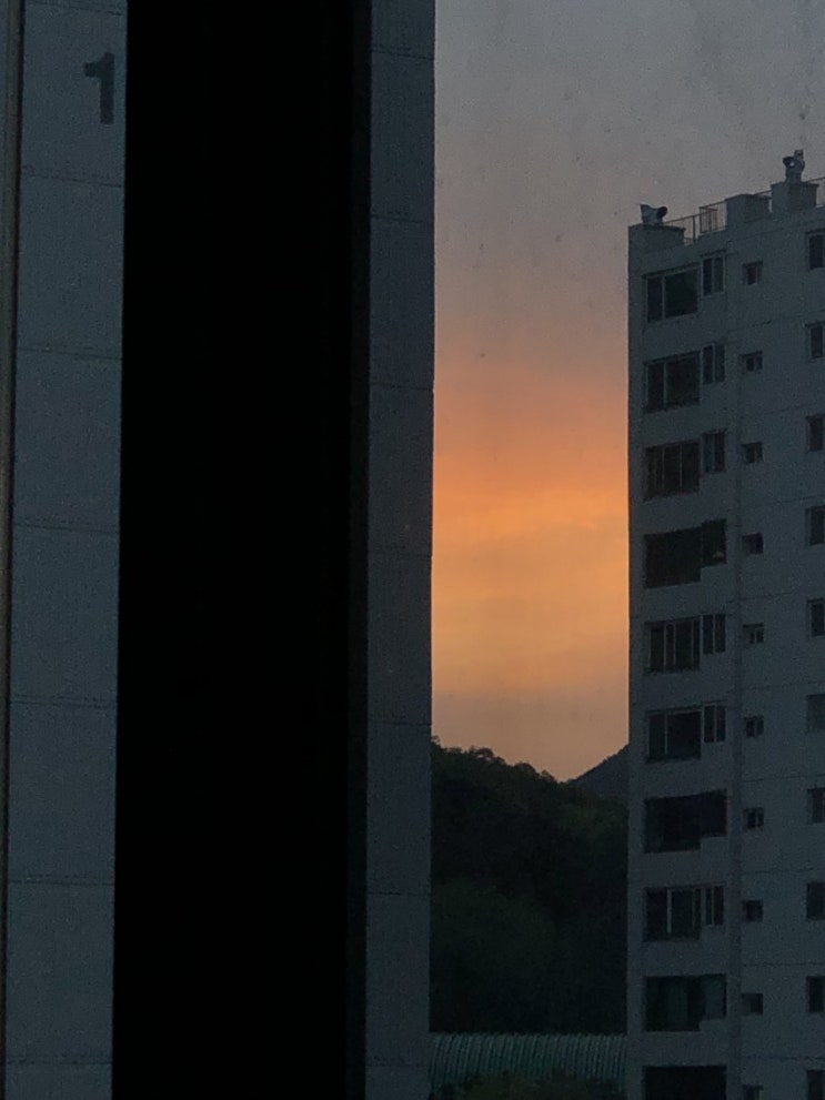  일상