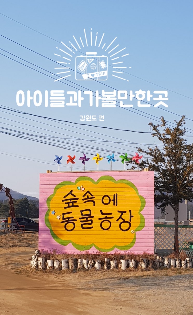  강원도아이들과가볼만한곳 평창 여행코스로 딱 숲속에동물농장