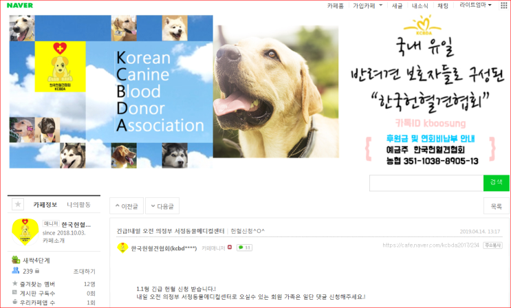  반려견 라이트 헌혈하여   수술앞둔  소형견친구한명 살려냈습니다