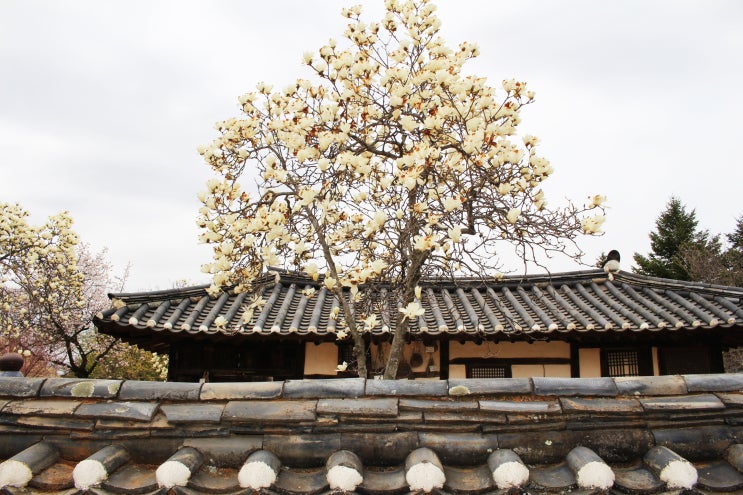  청풍명월